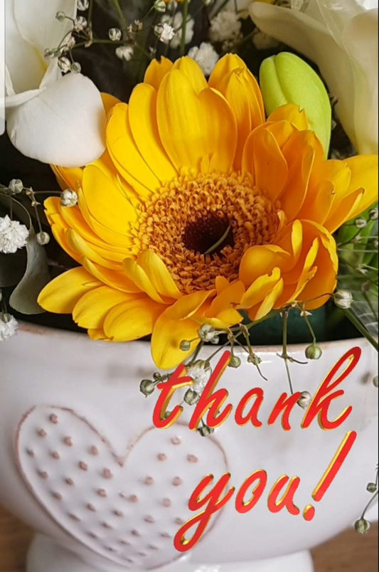 Feeling Thankful