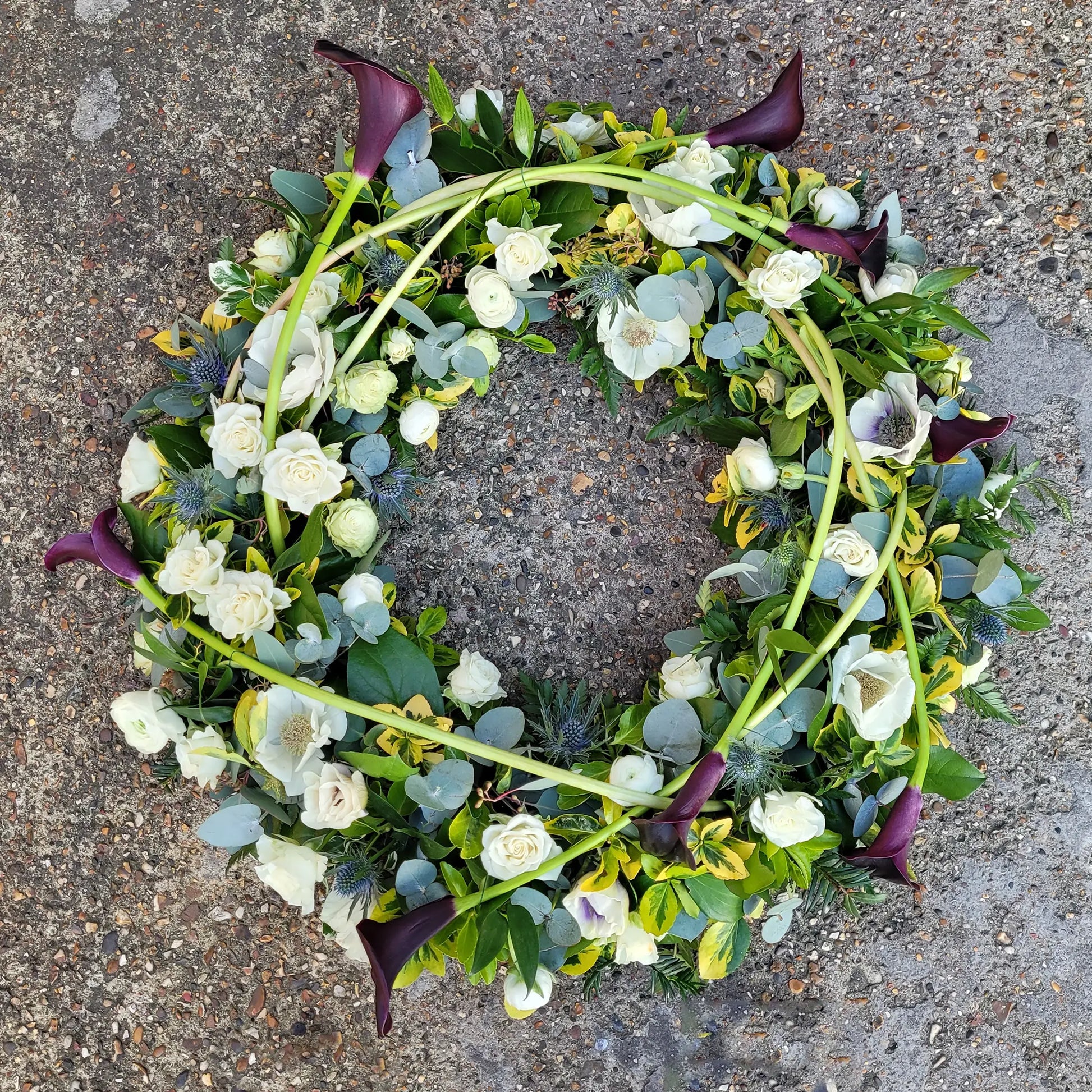 The Funeral Flower Wreath by ReCreation Flowers features white roses, green foliage, and dark purple calla lilies arranged in a circular design with curved stems for a refined funeral tribute.