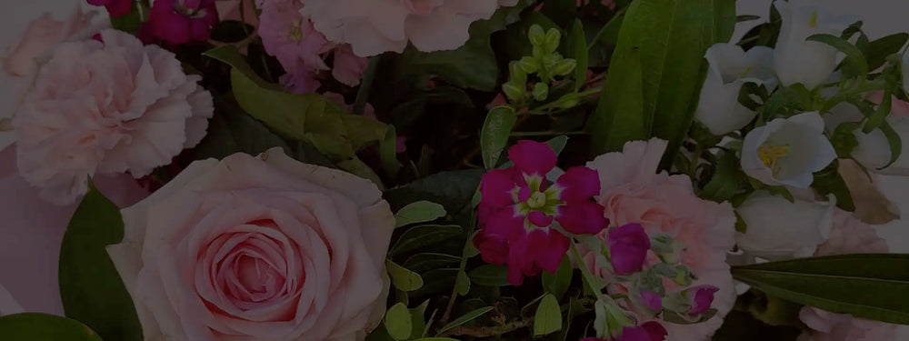 A close-up of a floral arrangement featuring light pink roses, pale pink carnations, white flowers, and small magenta blooms, surrounded by green leaves.